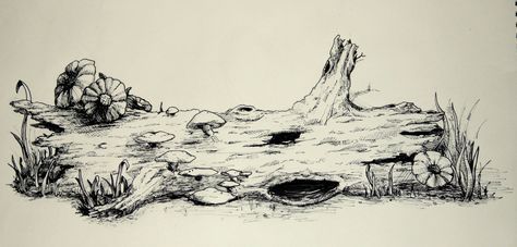 Log Drawing, Trees Drawing, Forest Sketch, Forest Drawing, Tree Sketches, Old Trees, Forest Pictures, Forest Painting, Book Drawing