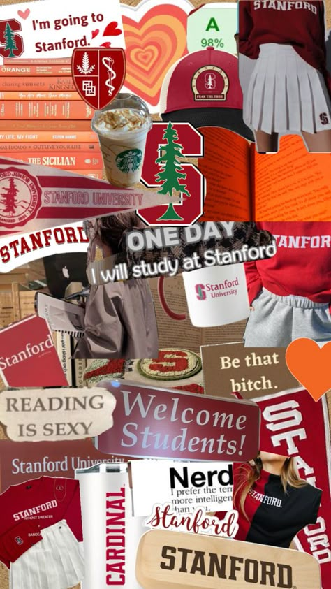 Stanford Medical School Aesthetic, Stanford Business School, Stanford Motivation, Education Manifestation, Stanford Wallpaper, Stanford University Medical School, Stanford University Aesthetic, Stanford Aesthetic, Stanford Graduation