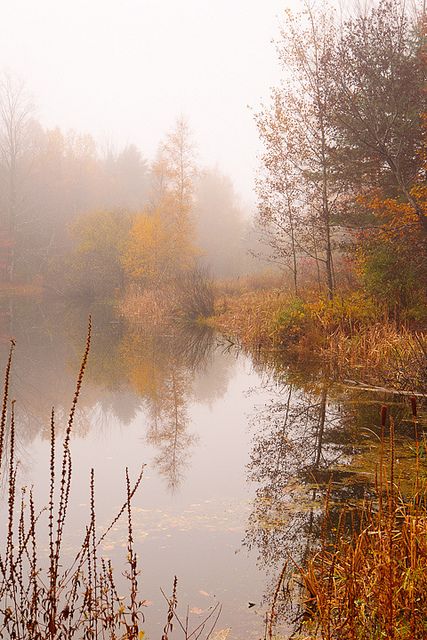 Autumn Reference Photo, Landscape Reference Photos For Artists, Autumn Landscape Photography, Forest Drawing, Forest Sounds, Romantic Nature, Classic Art Prints, Fall Landscape, Autumn Magic