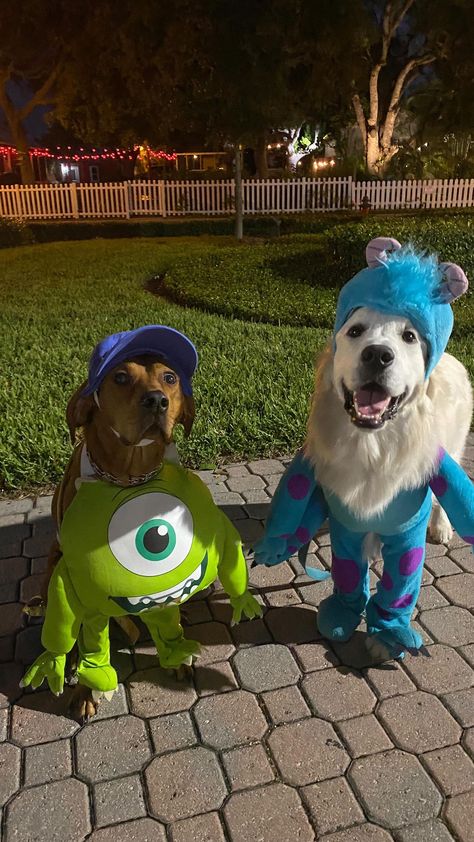 Cute Dog Halloween Costumes With Owner, Duo Halloween Costumes With Dog, Dog Monsters Inc Costume, Dog Costumes Ideas, Dog Costumes For Two Dogs, Monsters Inc Dog Costume, Dog Duo Costumes, Duo Dog Halloween Costumes, Cute Halloween Costumes For Dogs