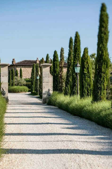 Garden Ideas Aesthetic, Italian Garden Design, Borgo Santo Pietro, Siena Tuscany, Design Garden Ideas, Long Driveway, Drawing Rooms, Tuscany Landscape, Italian Living