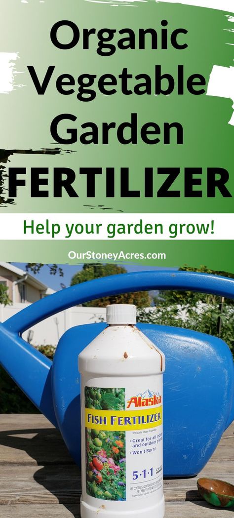 Using Fish Emulsion or fish fertilizer has become a vital part of my gardening. Learn how to use this Organic Fertilizer for vegetables. Find more gardening ideas about planting Vegetables, Backyard Vegetable Gardening, and having an Organic vegetable garden. Organic Fertilizer For Vegetables, Vegetable Garden Fertilizer, Cold Climate Gardening, Natural Plant Food, How To Make Compost, Compost Tea, Backyard Vegetable Gardens, Organic Vegetable Garden, Seasonal Garden