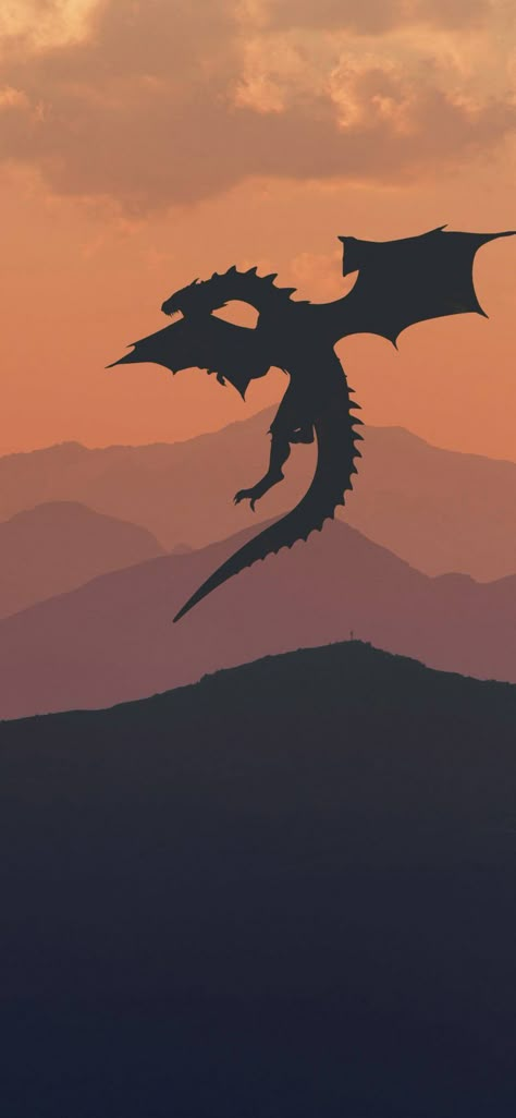 Best Game of Thrones wallpapers for iPhone Drogon Game Of Thrones, Game Of Thrones Tattoo, Game Of Thrones Poster, Trendy Games, Dragon Wallpaper, Got Dragons, Game Of Thrones Dragons, Got Game Of Thrones, Game Of Thrones Funny