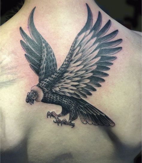 Peruvian Condor Tattoo Condor Tattoo, Condor Andino, Andean Condor, Eagle Tattoos, Bad Tattoos, Travel Tattoo, Inspirational Tattoos, Tattoo Drawings, Tatting