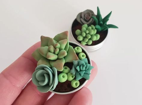 Clay Succulents, Succulents Art, Polymer Clay Ideas, Different Types Of Plants, Cute Plants, Polymer Clay Magnet, Clay Lesson, Clay Magnets, Succulent Art