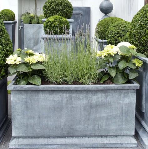 Verona Planter – Andy Stedman Design Shop Plant Troughs, Large Garden Planters, Front Door Planters, Garden Troughs, Large Ceramic Planters, Zinc Planters, House Planter, Contemporary Planters, Trough Planters