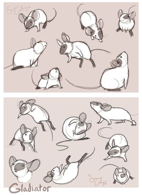 Maus Illustration, Mouse Drawing, Animal Study, Drawing Animals, Creature Drawings, 캐릭터 드로잉, Animal Drawing, Arte Sketchbook, Animal Sketches