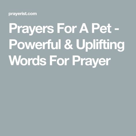 Prayers For A Pet - Powerful & Uplifting Words For Prayer Prayers For Pets Healing, Prayer For Sick Dog, Pet Healing, Dog Dye, Sick Puppies, Sending Prayers, Sick Cat, God Heals, Miracle Prayer