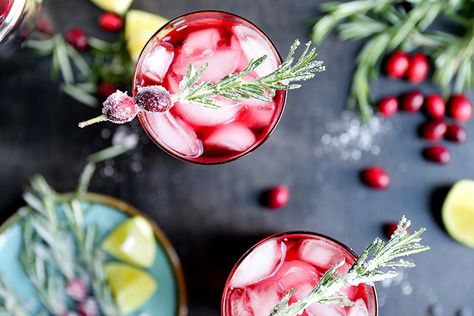 Sparkling Christmas Tree Cocktail | www.floatingkitchen.net  ~ Mary Wald's Place -   make a n/a version! Cocktails For Christmas, Cranberry Fizz, Cranberry Margarita, Yummy Cocktails, Blame It On The Alcohol, Prosecco Cocktails, Alcohol Free Drinks, Cranberry Cocktail, Gin Cocktail Recipes