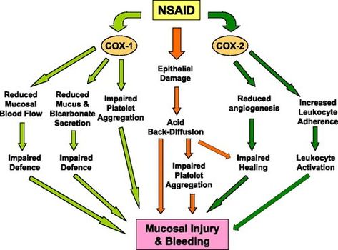 FIG. 2. Nursing Pharmacology, Medical Assisting, Bile Salts, Hydrochloric Acid, Nursing Study Guide, Pharmacology Nursing, Pharmacy Technician, Medical School Motivation, Dental School