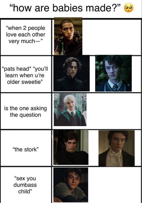 Draco And Mattheo Riddle Fanart, Tom Riddle And Mattheo Riddle, Tom Riddle X Draco Malfoy, Tom Riddle Funny, Slytherin Gang X Yn Funny, Funny Mattheo Riddle, Draco Malfoy Memes Funny, Harry Potter Riddles, Slytherin Funny