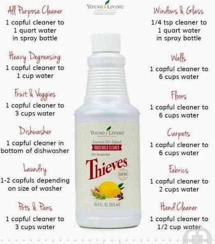 Essential Oil Cleaner, Thieves Household Cleaner, Thieves Essential Oil, Young Living Essential Oils Recipes, Essential Oils Cleaning, Oil Remedies, Cleaner Recipes, Yl Essential Oils, Living Essentials Oils