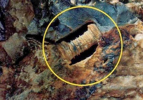 300 million-year-old screw-A Russian research team known as the Kosmopoisk Group, which investigates UFOs and paranormal activity, claims to have found a one-inch screw embedded inside a rock that is 300 million years old. They say the screw is the remains of an ancient form of technology that proves extra-terrestrials visited Earth millions of years ago. However, scientists say the ‘screw’ is nothing more than a fossilized sea creature called a Crinoid. The Russian team were investigating t... Out Of Place Artifacts, Creature Marine, Unexplained Mysteries, Ancient Astronaut, Unexplained Phenomena, Ancient Technology, Archaeological Discoveries, Aliens And Ufos, Mystery Of History