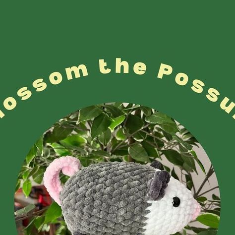 kiersten on Instagram: "🌸 blossom the possum pattern (free version) 🌸  pdf version with photos is on my etsy - link in bio!  tags  #freepattern #freepatterncrochet #cutecrochet #crochet #possums #opossums #chunky #chonkyboi #diycrafts #crochetinspiration #crochetpattern #freecrochetpatterns #crochetideas #aesthetic #marsupialsofinstagram #cutepossums #babypossum #plush #plushiesofinstagram #pattern #crochetaddict #crochetersofinstagram #crochetmarket #marketprep #bestseller #squishmallows #jellycat #etsyshop #possum #opossums #stuffedanimals" Opossum Crochet Pattern Free, Opossum Crochet Pattern, Possum Crochet, Opossum Crochet, Crochet Opossum, Baby Possum, Crochet Patterns Free, Pattern Free, Yarn Crafts