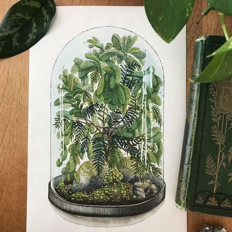 Terrarium I just finished, referenced from a sketch in an antique book. So much fun to paint! : Watercolor Advanced Higher Art, Fungi Art, A Place For Everything, Jar Art, Paint Watercolor, Fantasy Paintings, Antique Book, Sketchbook Inspiration, Watercolor Inspiration