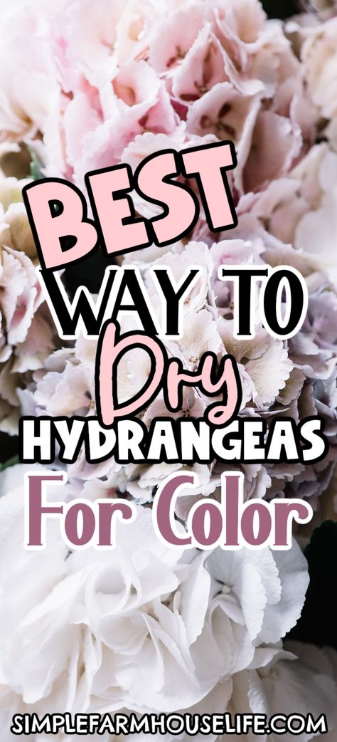 Learn how to dry hydrangeas for year-round garden beauty in your home. One of the best farmhouse DIY projects to add some color to your house! Dry Hydrangeas, Modern Farmhouse Decor Ideas, Farmhouse Diy Projects, Country Style Furniture, Round Garden, Best Farmhouse, Dried Hydrangeas, Modern Farmhouse Decor, Farmhouse Living