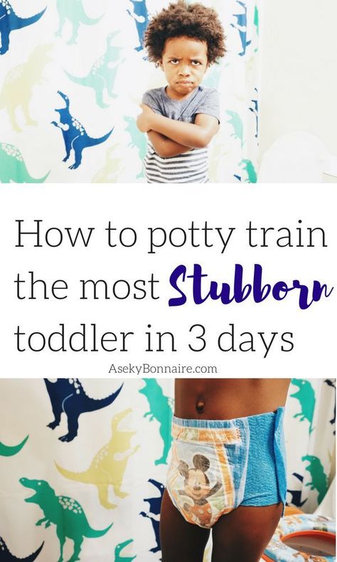 Potty Training Stubborn Boys, Potty Training Toddler Boy, Training Meme, Potty Training Sticker Chart, Potty Training Schedule, Potty Training Stickers, Potty Training 101, Potty Training Help, Boys Potty