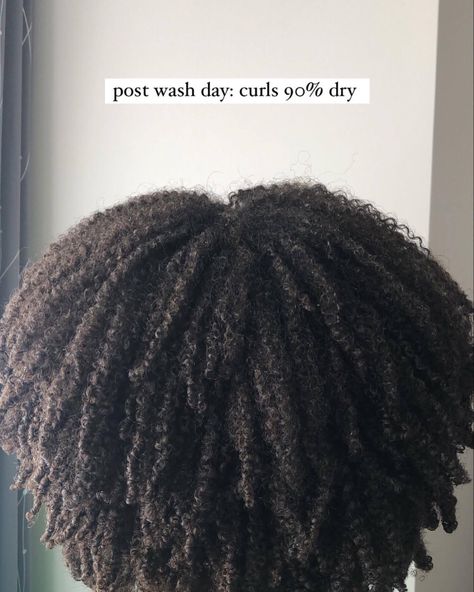 4b Curls, Long Afro, Coily Natural Hair, Body Aesthetic, Whipped Butter, Beautiful Black Hair, Type 4 Hair, Beautiful Natural Hair, Hair Guide