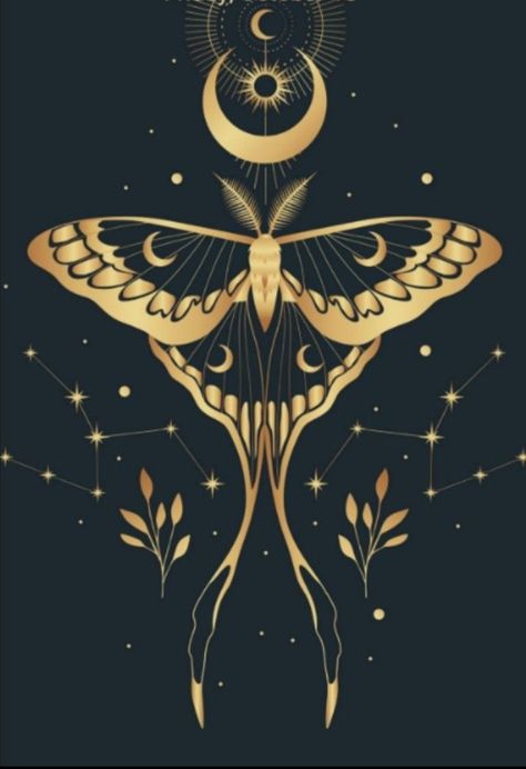 Witchy Moth Drawing, Luna Moth Art Nouveau, Chinese Moon Moth Drawing, Luna Moth Line Art, Witchy Art Ideas, Luna Moth Back Tattoo, Lunar Moth Wallpaper, Lunar Moth Drawing, Lunar Moth Art