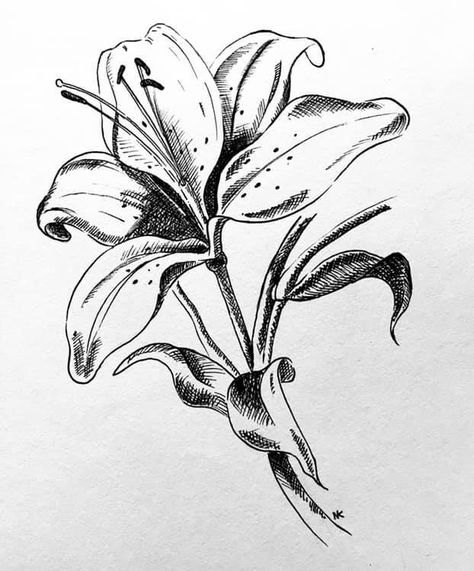 Flower Hatching Drawing, Drawings With Cross Hatching, Cross Hatching Drawing Easy, Hatch Line Drawing, Crosshatching Drawing, Cross Hatching Drawing, Ink Pen Drawings Cross Hatching, Hatching Cross Hatching, Hatch Drawing