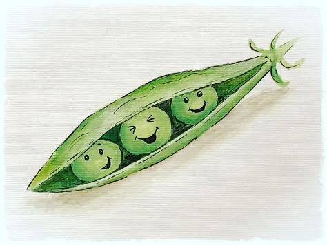 Sarah Lucking on Instagram: “Here’s my drawing for day 5 of the #heatherbellecrafts #maydrawingadaychallenge and the prompt was #peas 😊I think they look pretty hap-pea!…” Pea Pod Drawing, Peas Drawings, Pea Drawing, Vegetable Images, Cafe Signs, Baby Bach, Vegetable Drawing, Inspirational Illustration, Watercolor Fruit