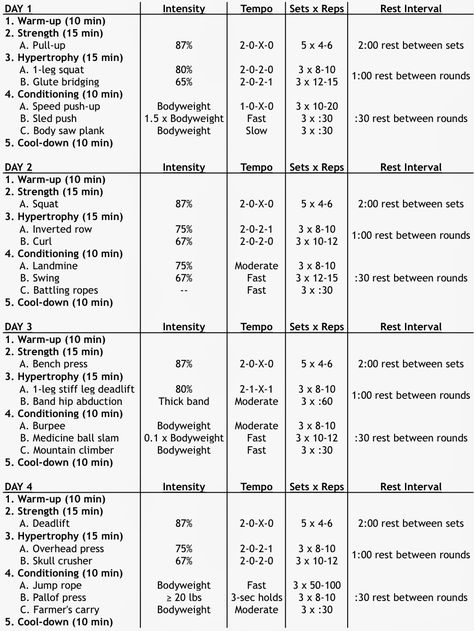 Fitness Pollenator: Structuring Workouts for Maximum Gains: Concurrent Periodization Musclepharm Workouts, Workout Circuit At Home, Personal Training Workouts, Beast Workout, Bodybuilding Workouts Routines, Workout Training Programs, Circuit Workout, At Home Workout Plan, Weekly Workout