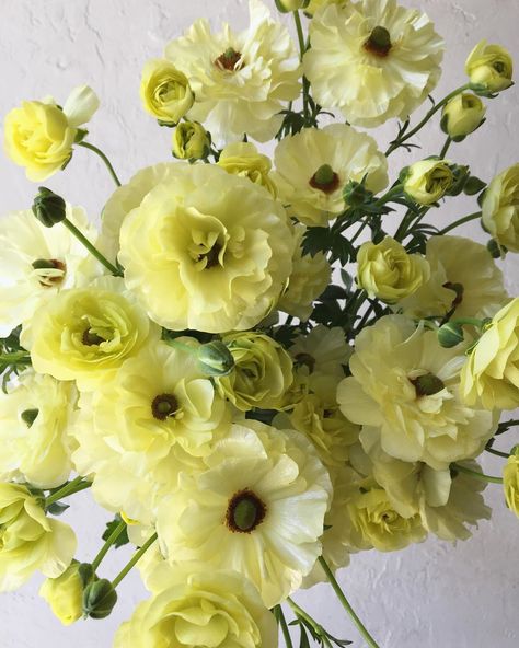 Yellow Butterfly Ranunculus, Meghan Wedding, Butterfly Ranunculus, Colour Mood, Ranunculus Bouquet, Color Boards, July Wedding, Flower Inspiration, Floral Studio