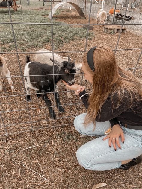 #pumpkinpatch #animalfarm #animal #animallovers #animalsnature #animalrights #babygoat #goat #babyanimal #pygmygoat #farm #farmaesthetic #pinterest #pinterestmarketing #pinteresttips #pinterestinspired #pinterestfashion #pinterestgirl Petting Zoo Photoshoot, Goat Photoshoot, Small Goat Farm, Farm Life Aesthetic, Goat Pet, Goat Feeder, Zoo Pictures, Cute Goat, Zoo Photos