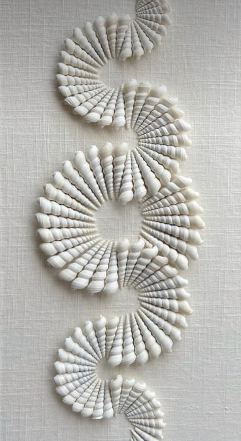 Seashell Art Diy, Sea Shells Diy, Art Coquillage, Seashell Wall Art, Seashell Projects, Florida Artist, Organic Art, Shell Crafts Diy, Monochrome Art