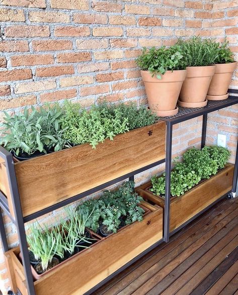 Balcony Garden Bed, Renter Friendly Vegetable Garden, Balcony Food Garden, Huerta En Casa Ideas, Garden On Balcony, Apartment Vegetable Garden, Balcony Vegetable Garden, Urban Gardening Balcony, Salsa Garden