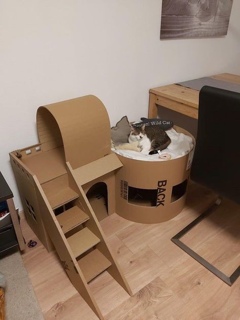 Cat House From Cardboard Boxes, Cat Building Ideas, Cardboard Cat House Ideas, Cardboard Box Houses For Cats, Diy Cat Stuff Cardboard, Diy Cat Cardboard Ideas, Cardboard Box Cat House Diy Ideas, Cat Cardboard Box Ideas Diy, Box Cat House Diy