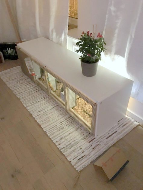 DIY rabbit house from IKEA KALLAX Diy Bunny Cage, Indoor Rabbit House, Diy Rabbit Cage, Rabbit Hutch Indoor, Indoor Rabbit Cage, Diy Rabbit Hutch, Diy Guinea Pig Cage, Rabbit Enclosure, Bunny Hutch