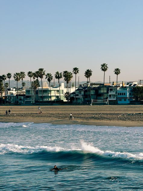 venice beach, los angeles, beach aesthetic, daily walks, ocean, beach, palm trees, waves, calm, spring, early morning, surf Venice Beach Aesthetic, Southern California Aesthetic, Los Angeles Beach, Angeles Aesthetic, Venice Beach Los Angeles, Los Angeles Aesthetic, Cali Trip, Beach Palm Trees, Surf Aesthetic