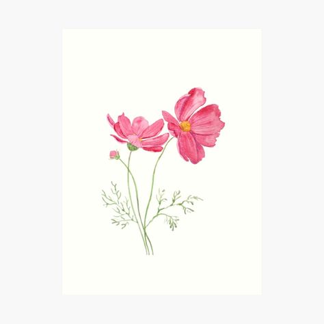 Pink Cosmos Flower Tattoo, Watercolor Cosmos Flower, Pink Flowers Drawing, Pink Cosmos Flowers, Dupatta Painting, Cosmos Tattoo, Pink Cosmos, Pink Flower Painting, Tattoo Time