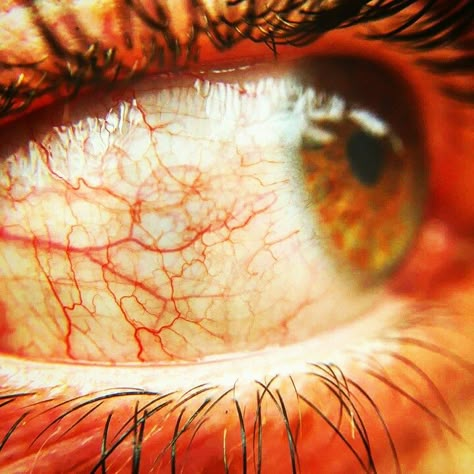 Veins eye Eye Veins, St Valentine, Eye Painting, Gcse Art, Pretty Eyes, Painting Inspo, Art Inspiration Drawing, The Human Body, Eye Care