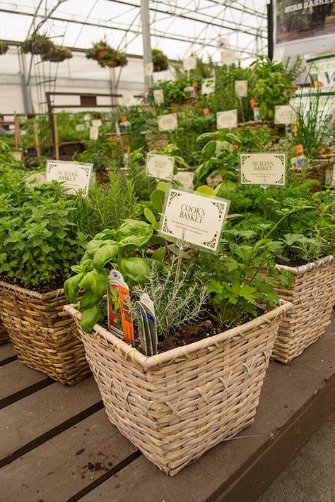 Farmers Market Herbs, Farmers Market Garden, Cute Farm Stand Ideas, Garden Market Ideas, Plant Buisness Ideas, Unique Farmers Market Ideas, Selling Plants At Farmers Market, Farmers Market Gift Basket, Farm Stand Product Ideas