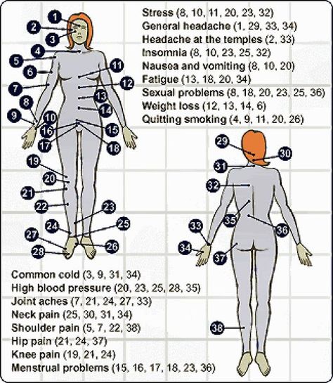 Learn techniques to naturally enhance libido in both men and women. Acupressure, or the application of simple pressure to certain spots on the body, can allow energy to flow freely, enhancing desire. Hijama Points, Acupressure Points Chart, Acupuncture Points Chart, Hijama Cupping, Cupping Massage, Hand Reflexology, Reflexology Chart, Trigger Point Therapy, Acupressure Therapy