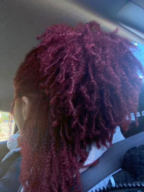 Purple Microlocs, Colored Micro Locs, Blackberry Hair Colour, Red Locs, Berry Hair, Micro Locs, Black Inspiration, Dye Colors, Locs Hairstyles