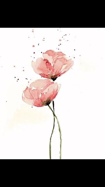 Watercolor Flower Cards, Watercolour Poppies, Flower Pic, Watercolor Guide, Let's Make Art, Watercolor Blog, Watercolor Birthday Cards, Watercolour Flowers, Watercolor Poppies