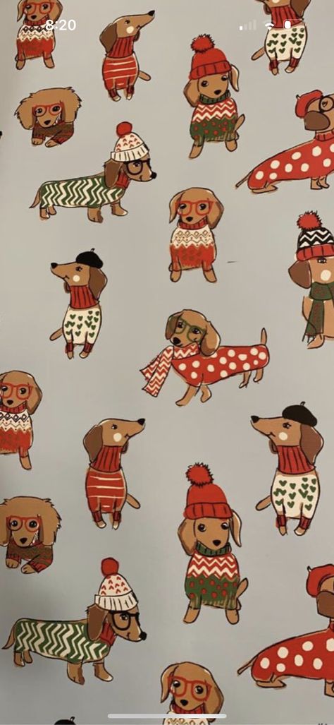 Dachshund Wallpaper Iphone, Pet Photography Props, Dachshund Wallpaper, Arte Dachshund, Dachshund Illustration, Phone Wallpaper Boho, Xmas Wallpaper, Cute Christmas Wallpaper, Christmas Phone Wallpaper