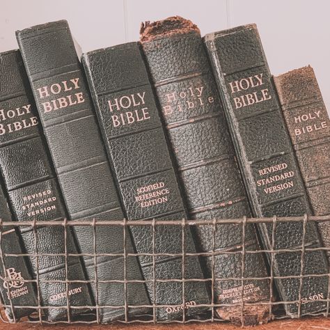 Old Bible Aesthetic, Odyssey Aesthetic, Withering Rose, Bible Bookshelf, Bible Collection, Old Bible, Adventures In Odyssey, Vintage Bible, Ideal Aesthetic