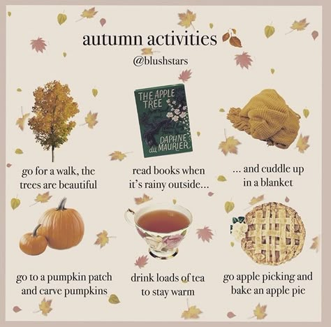 Cinnamon Candles, Fall Mood Board, Instagram Autumn, Fall Bucket List, Fall Mood, Fall Feels, Apple Picking, Fall Essentials, Fall Activities