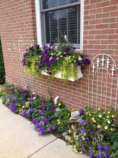 Purple and yellow window box Full Sun Window Boxes, Shade Window Boxes, Window Boxes Flowers, Diy Window Boxes, Flower Window Boxes, Window Boxes Ideas, Yellow Window, Sun Window, Full Sun Flowers