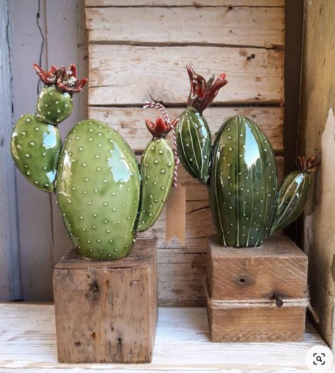 Garden Pottery Ideas, Summer Pottery, Pottery Cactus, Cactus With Flowers, Clay Cactus, Ceramic Cactus, Cactus Ceramic, Glass Cactus, Beginner Pottery