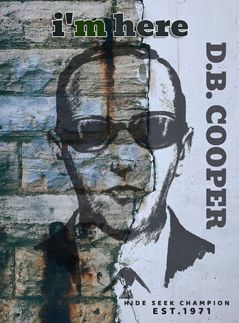 Db Cooper, Making Things, The Amazing, Phone Cases, Pillows, History, Movie Posters, Gifts, Design