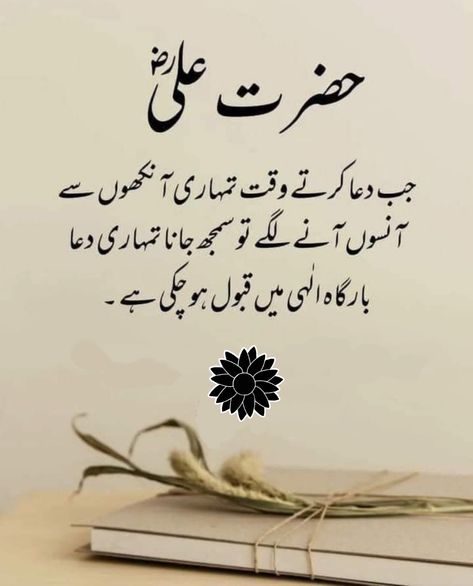 Hazrat Ali R.A Quote 📝📚 Hazrat Ali Quotes In Urdu, Hazrat Ali Quotes, Beautiful Poems, Hazrat Ali Sayings, Good Day Messages, Image Poetry, Quotes In Urdu, Unique Quotes, Most Beautiful Birds