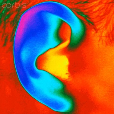 Human Ear, This Heat, Photoshop Art, 로고 디자인, Art Reference Poses, Figurative Art, High Quality Art Prints, Find Art, Custom Framing