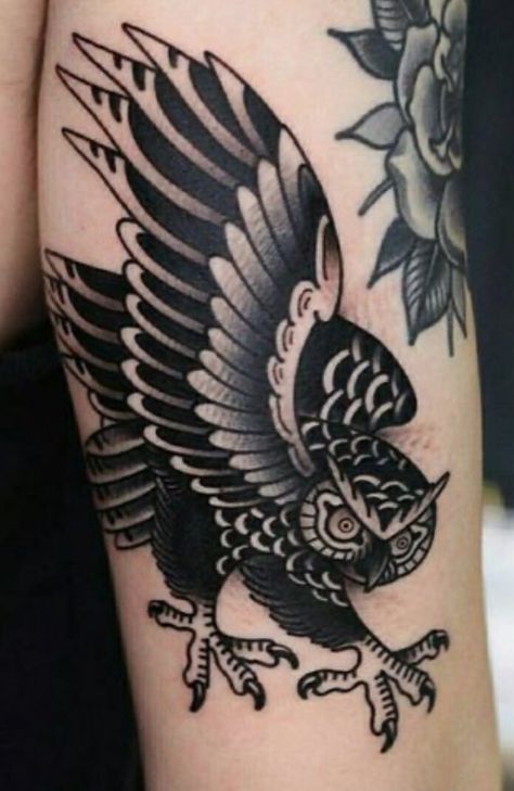 Morepork Tattoo, Animal Tattoo Traditional, American Traditional Tattoos Bird, Traditional Owl, American Traditional Crow, Black And Gray American Traditional Tattoos, American Traditional Animals, Traditional Crow Tattoo, Traditional Animal Tattoo Black