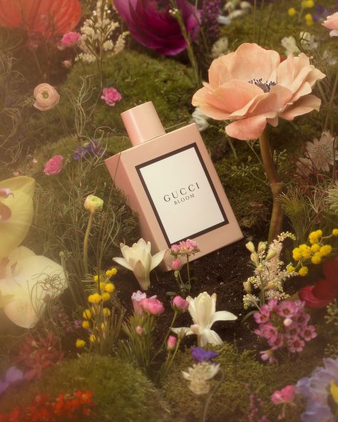 Wendy Morrison, Parfum Gucci, Gucci Perfume, Gucci Bloom, Fragrance Photography, Flower Perfume, New Perfume, Perfume Photography, Perfume Ad