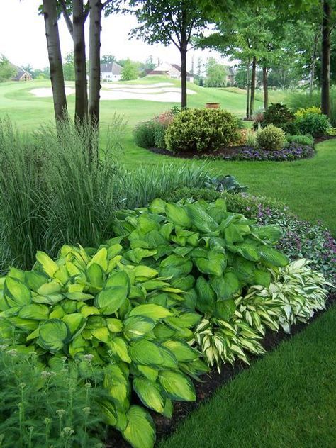 Large Yard Landscaping, Hosta Gardens, Shade Gardens, Have Inspiration, Outside Ideas, Front Yard Garden, Beautiful Backyards, Gardening Landscaping, Shade Plants